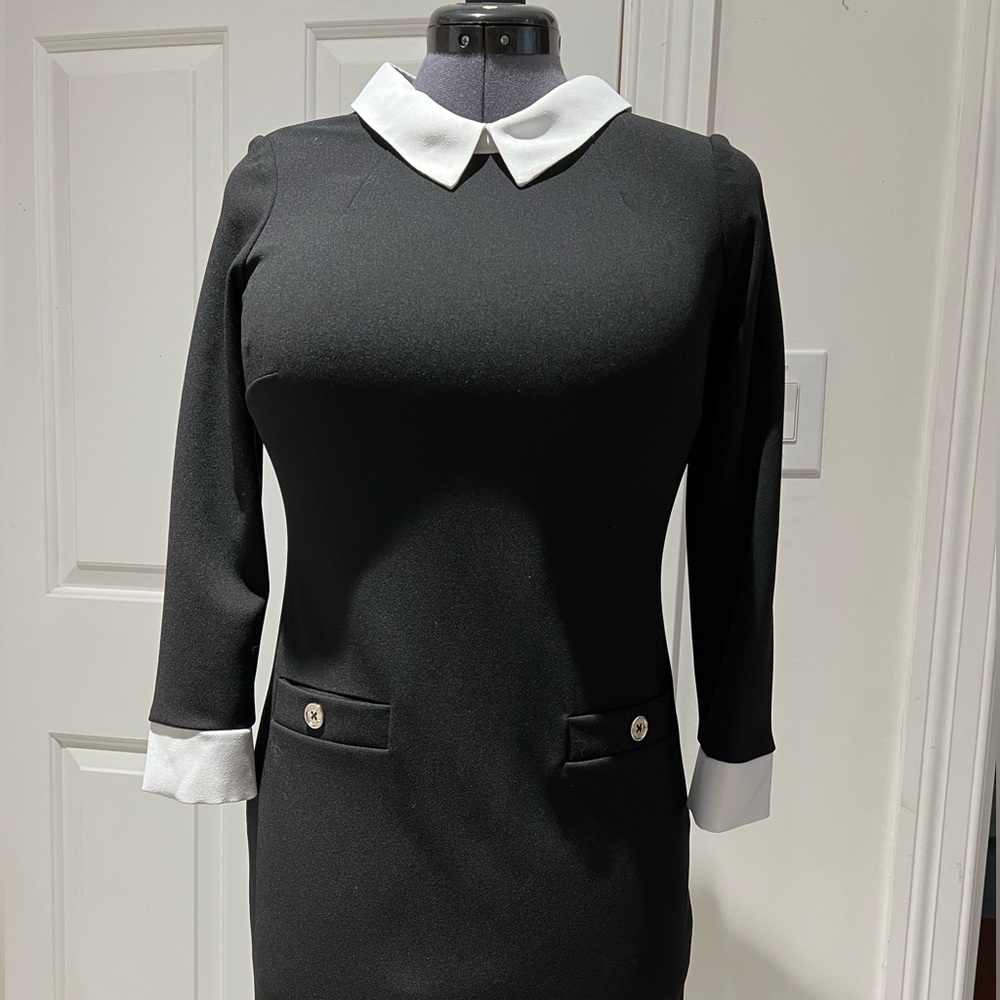 Chic Black Tommy Hilfiger Dress with White Collar